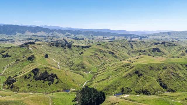 1823 Opaki Kaiparoro Road Mauriceville_1