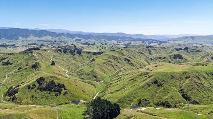 1823 Opaki Kaiparoro Road Mauriceville_1