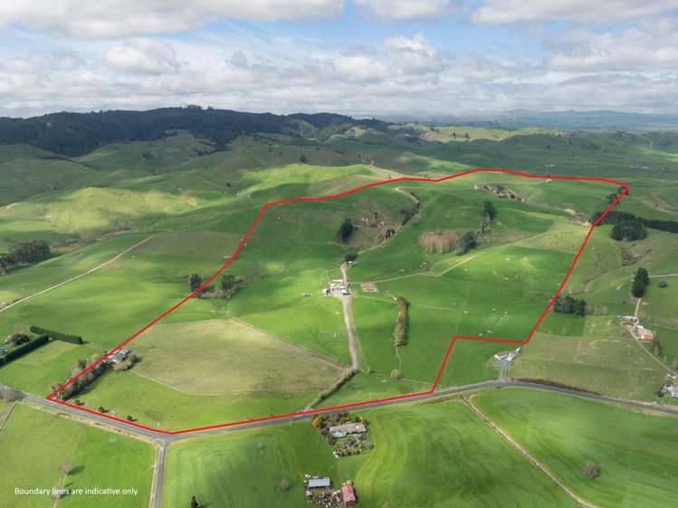 652 Tainui Road Morrinsville_21