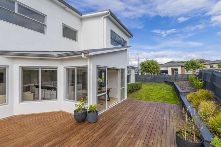 9 Catlins Glen Aotea_22