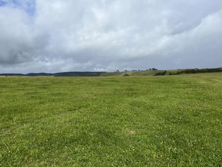 860 Egmont Road Hillsborough_26