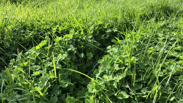 Millars Road Carterton_3