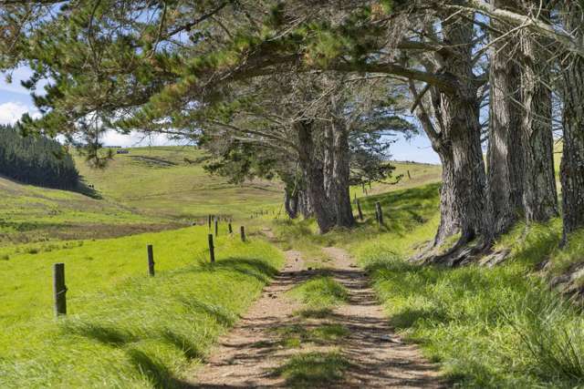 201 St Marys Road Waipu_4
