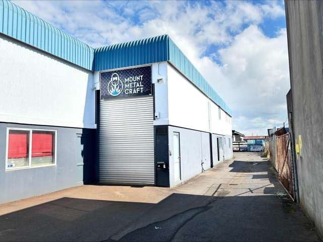 Unit 3, 26 Newton Street Mt Maunganui_4