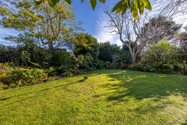 456b High Street Motueka_13