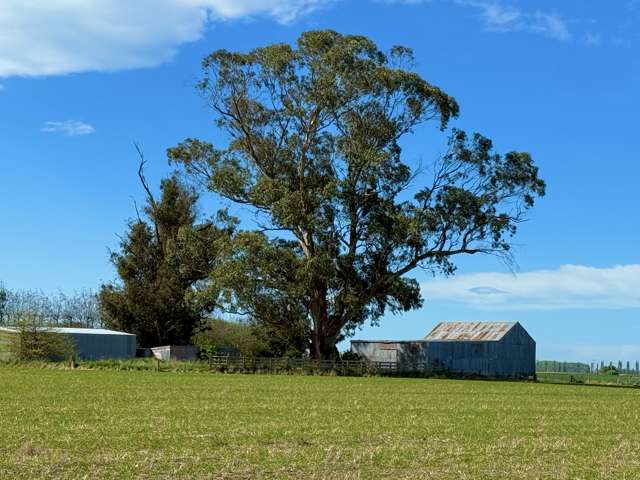 Willowbridge Road Waimate_2