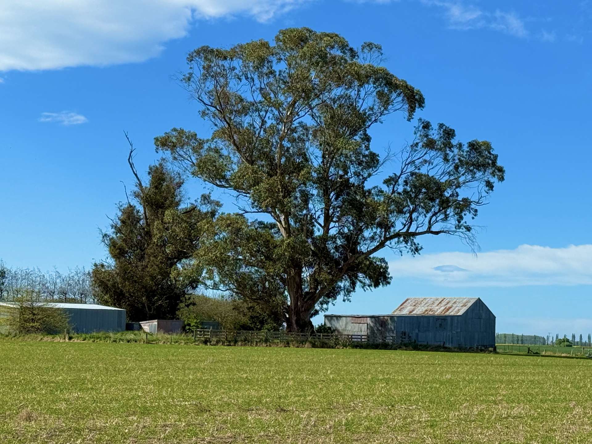 Willowbridge Road Waimate_0