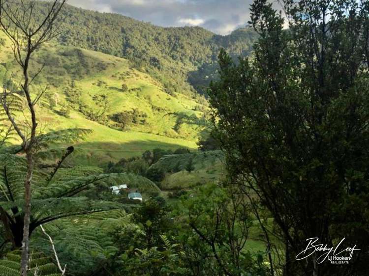 139 Warner Road Takahue_3