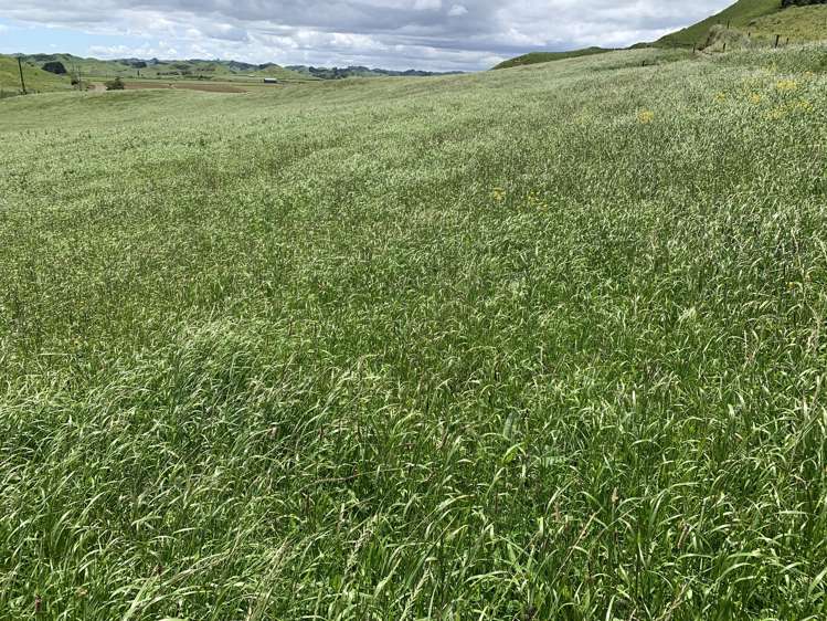 678 Bird Road Stratford_6