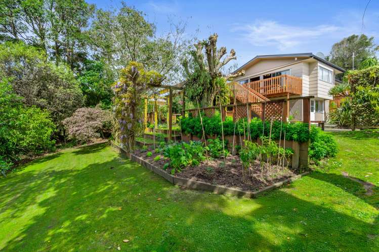 368 Whangaparaoa Road Stanmore Bay_24