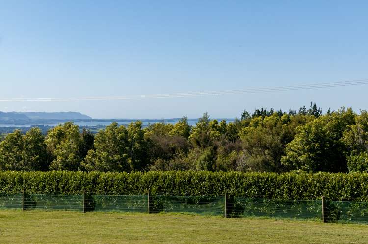 598 Esdaile Road Whakamarama_9