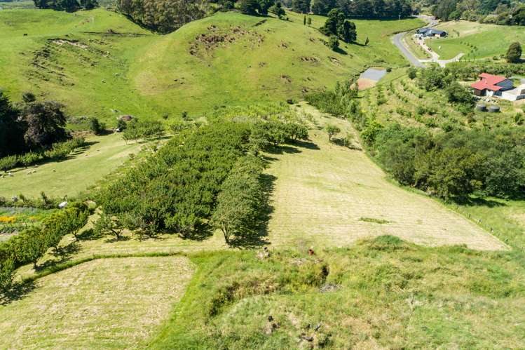 Lot 2/226 Puketitiri Road Poraiti_11