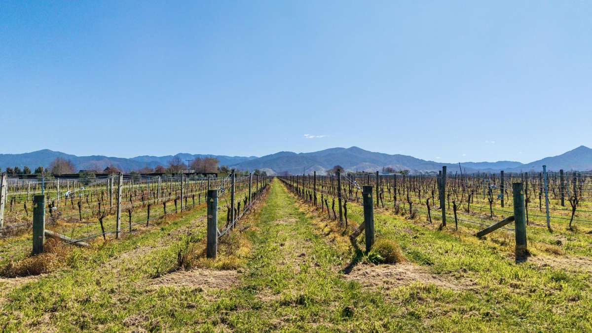 Mills and Ford Road East_1