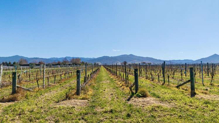 Mills and Ford Road East Grovetown_5