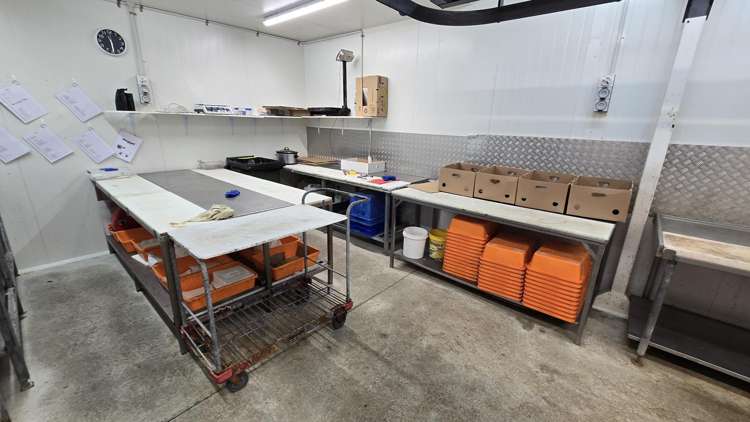 Address withheld Waikuku_8