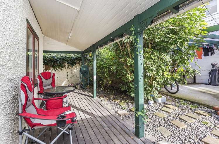 19 Palmer Street Aro Valley_19