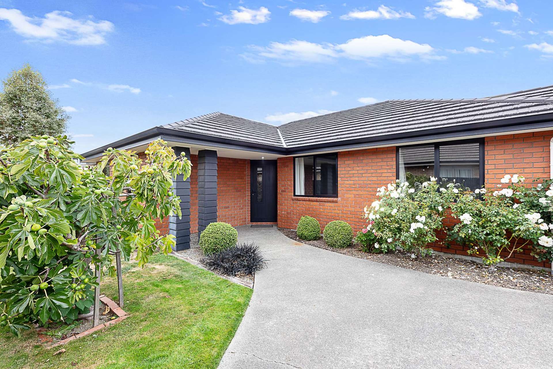 22 Lansdowne Street Mayfield_0