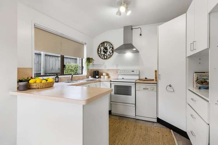 3/11 Fenwick Avenue Milford_13