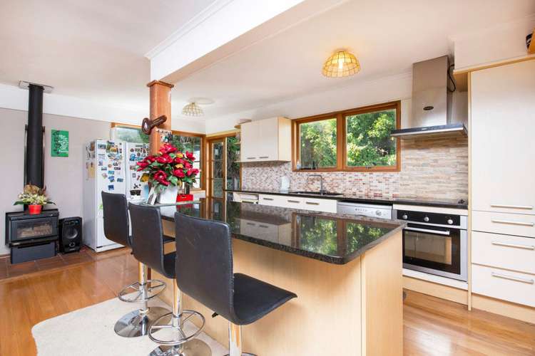 1/42 Gibraltar Street Howick_9