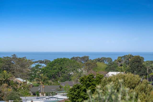 29a Little Barrier Avenue Manly_2