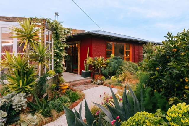 137 Howick Road Redwoodtown_2