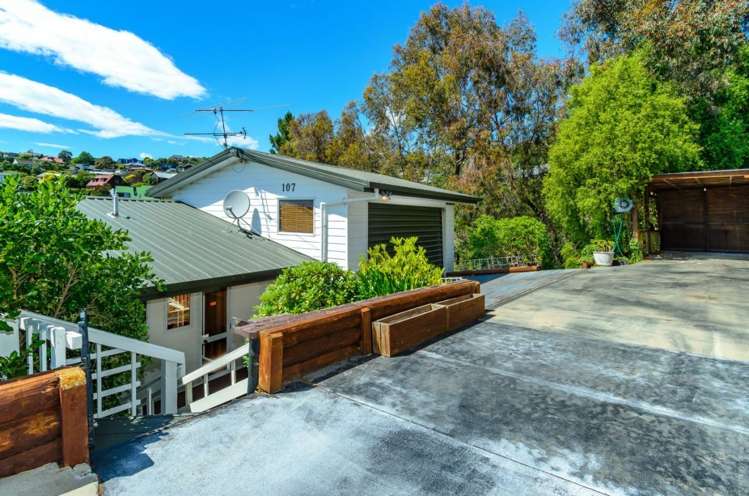 107 Mt Pleasant Road Mount Pleasant_5