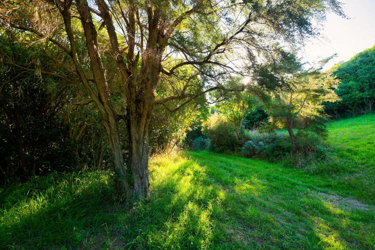 759 Mount Fyffe Road Kaikoura Surrounds_26