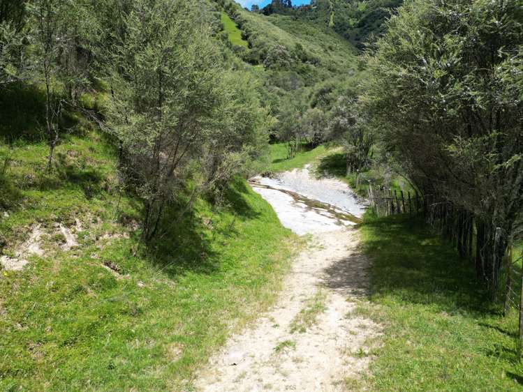 Trussells Track, Tawata Road Taumarunui_2