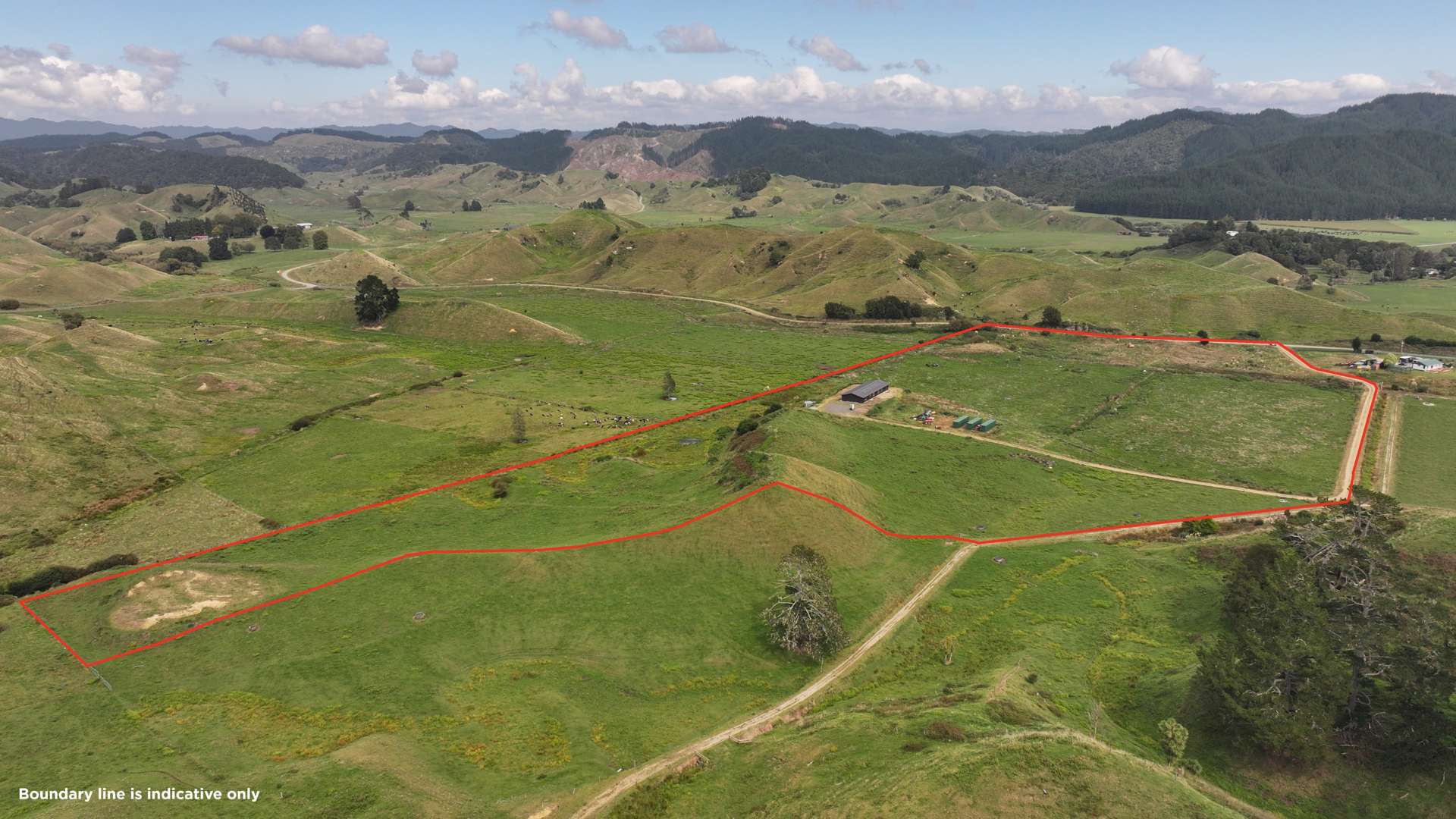 546 Foster Road Taneatua_0