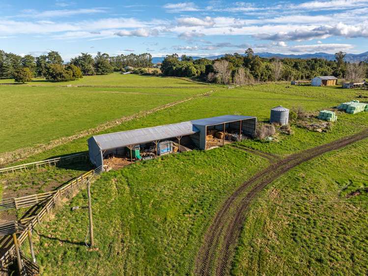 326 Cornwall Road East Taratahi_7