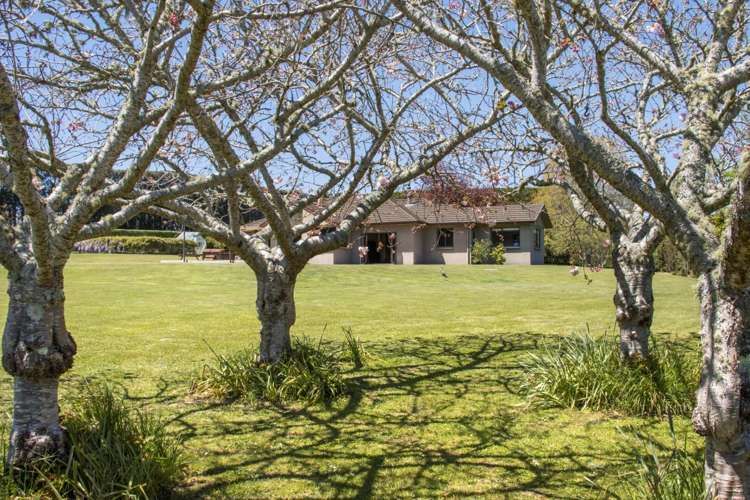 155 Ongare Point Road Katikati_18