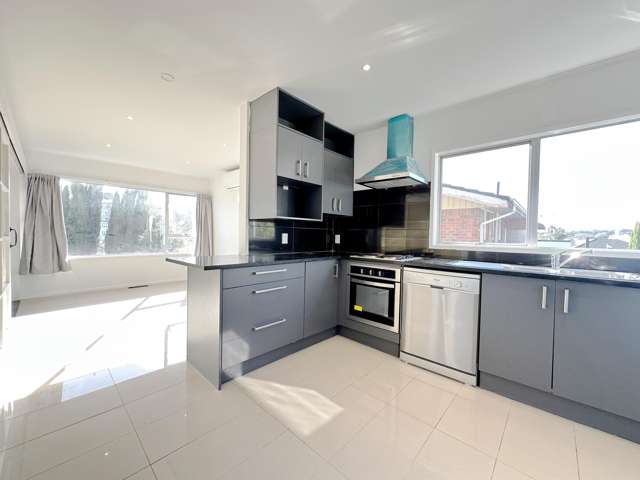 115 Queenstown Road Onehunga_1