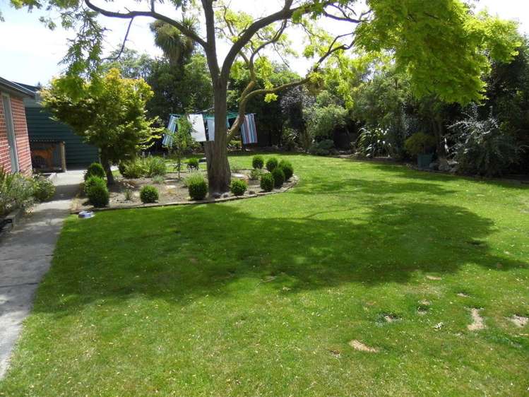 168 Thomson Street Tinwald_1