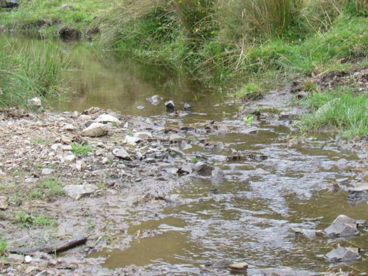 629 Tamaki East Road Rangitikei Surrounds_11