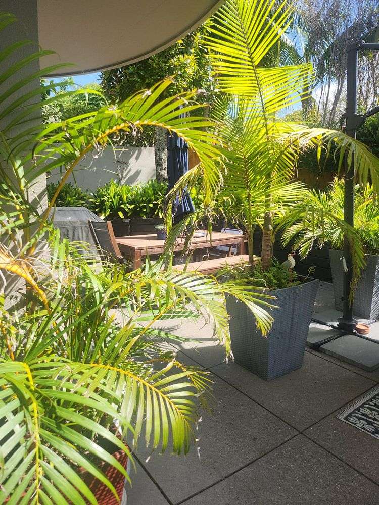 26e Eversleigh Road Belmont_15