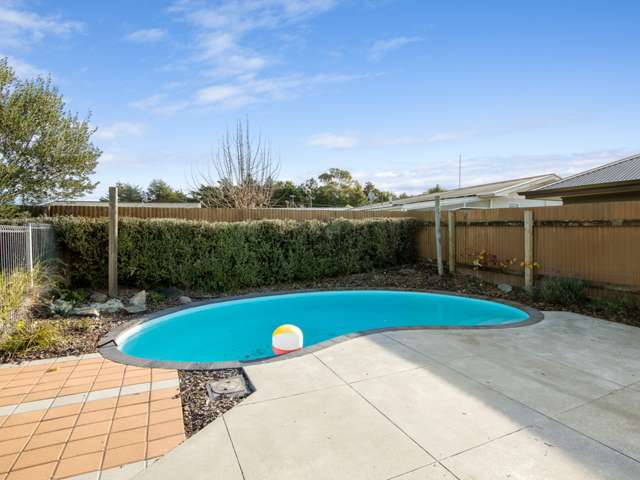 170 Howick Road Witherlea_3