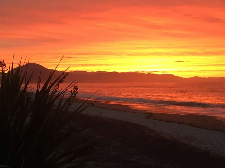 Hannahs Clearing Jackson Bay_10