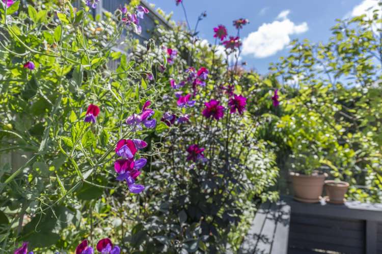 18a Woodside Road Mount Eden_7