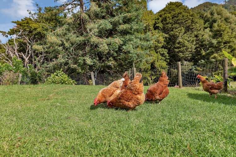 191 Great North Road Kamo_22