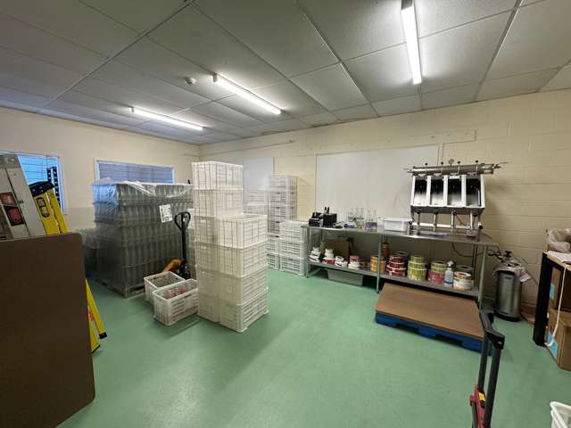 37-39 Crummer Road Grey Lynn_4