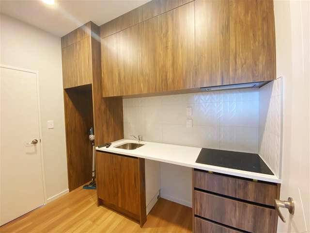 1 Bendridge Street Flat Bush_2