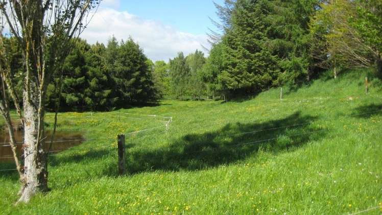 228 Smith Road Dannevirke_4