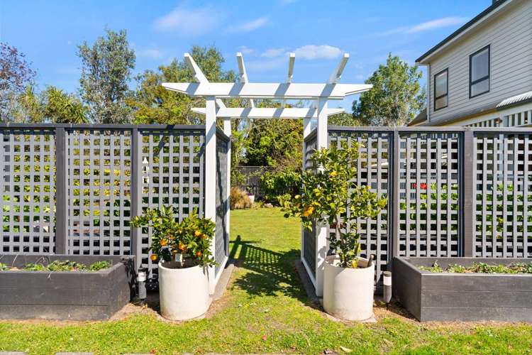 4 Udy Street Greytown_34
