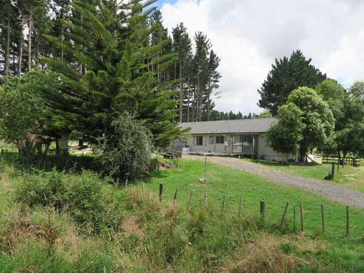 1027c Highway 22 Pukekawa_11