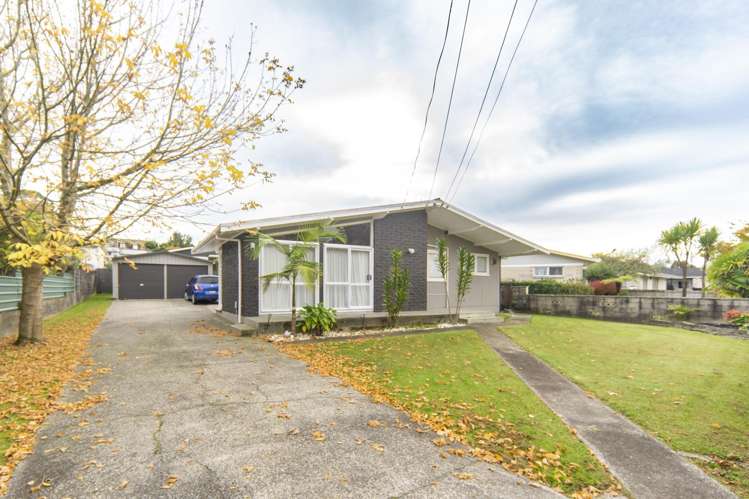 196 Whatawhata Road Dinsdale_13
