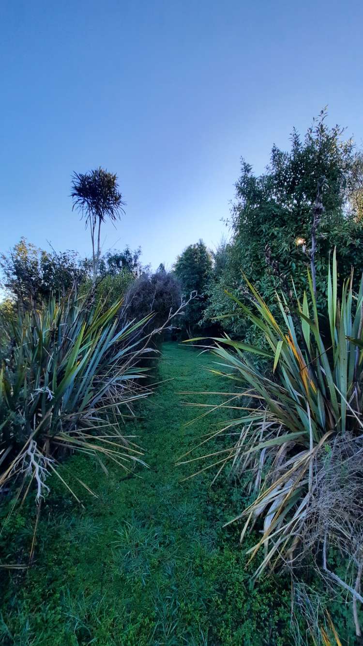 5 Ipswich Street Balclutha_38