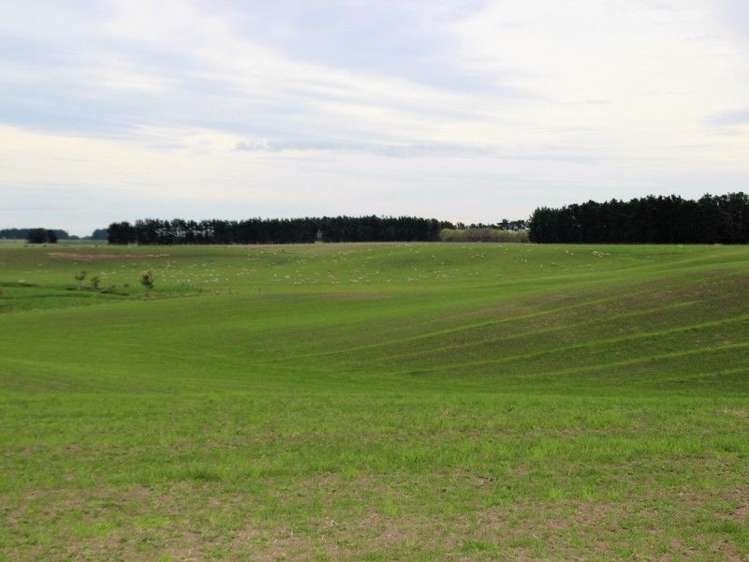 591 Wanganui Road Marton_7