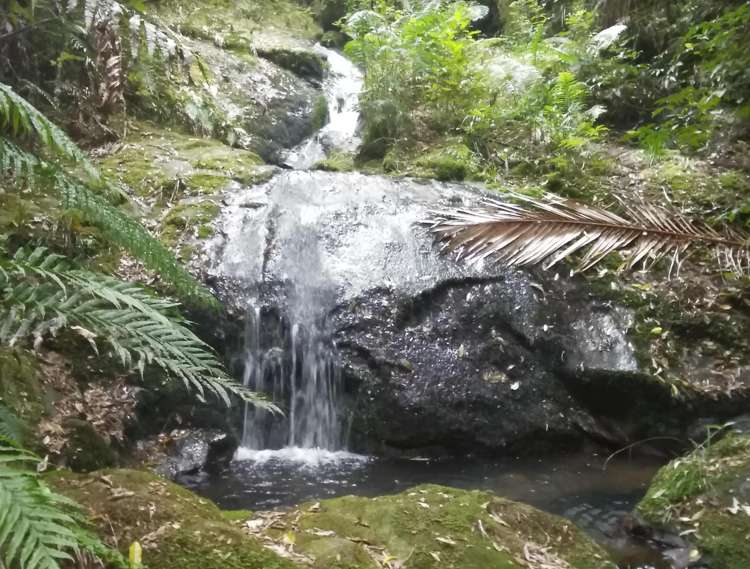 974 The 309 Rd Whitianga_36