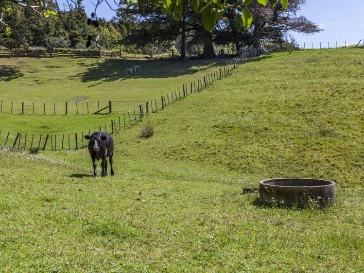 18 Sawmill Road Thames_27