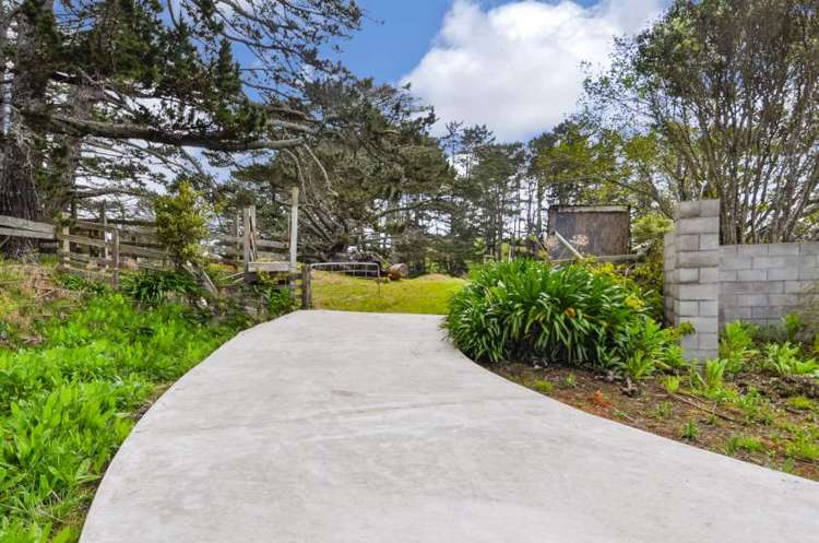 1501 East Coast Road Redvale_8